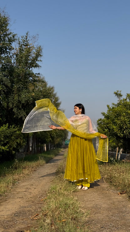 Double Shade Organza Anarkali
