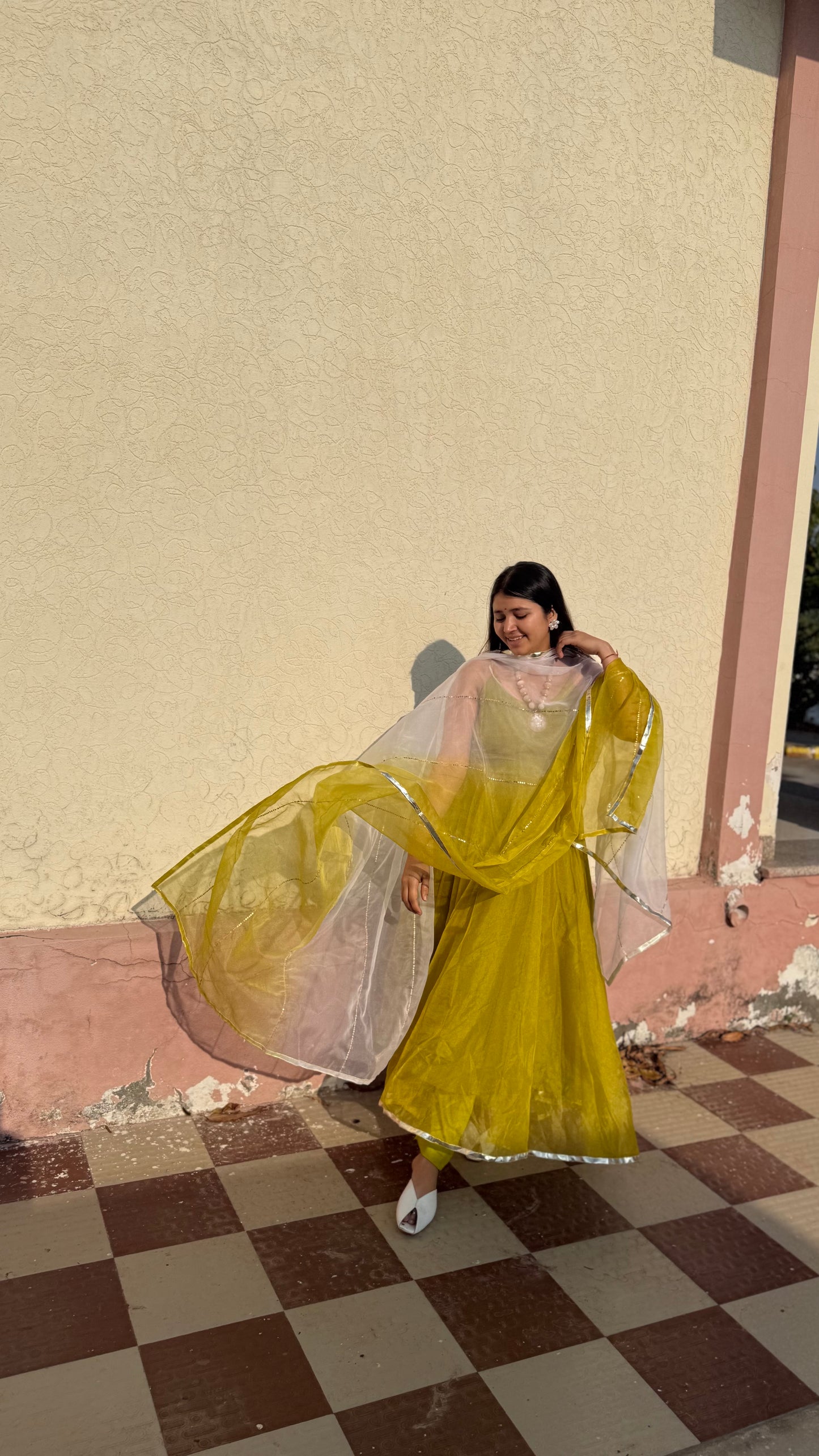 Double Shade Organza Anarkali