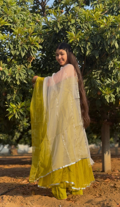 Double Shade Organza Anarkali