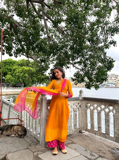 Shaded Straight Suit Set