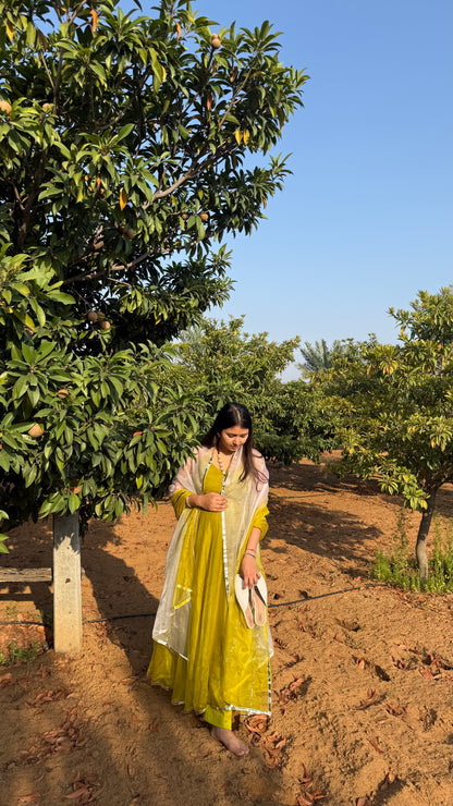 Double Shade Organza Anarkali