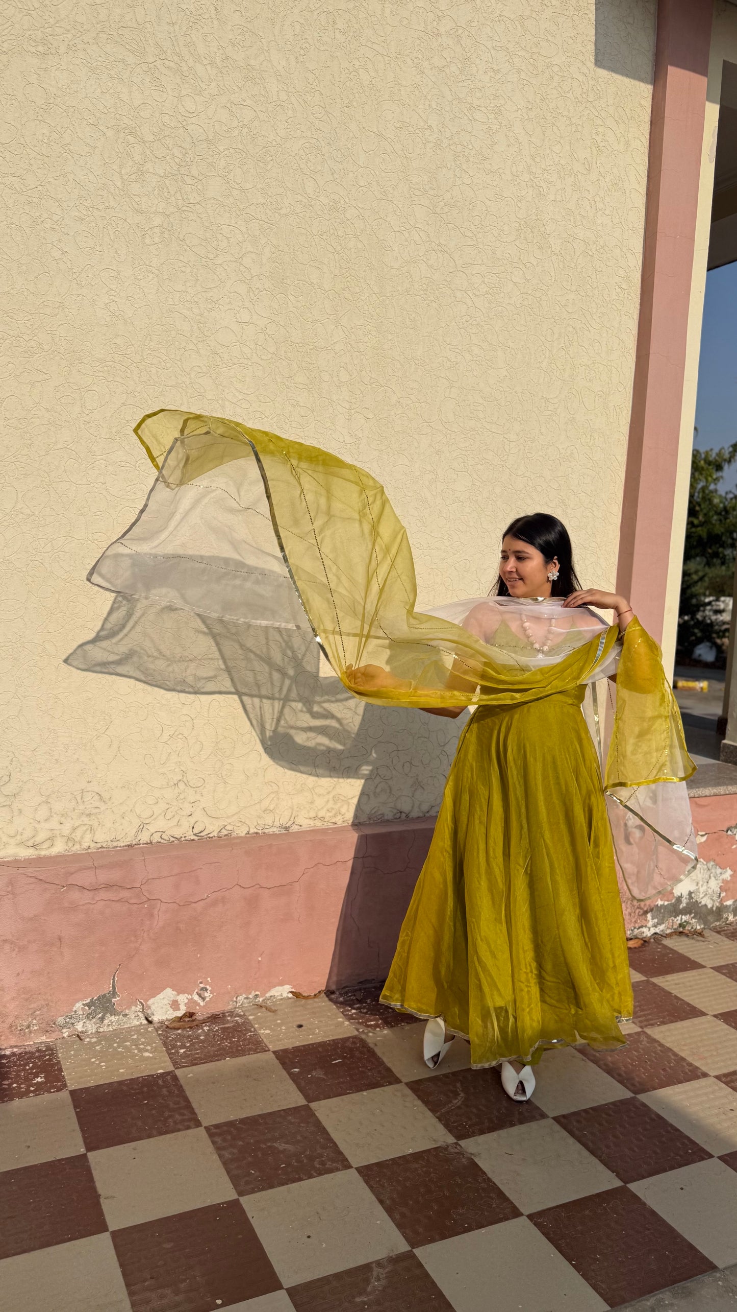 Double Shade Organza Anarkali