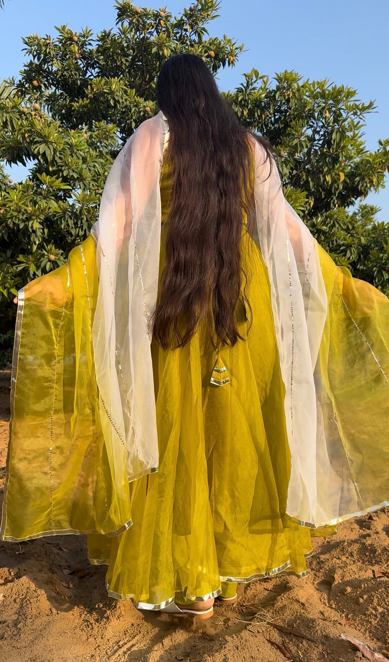 Double Shade Organza Anarkali