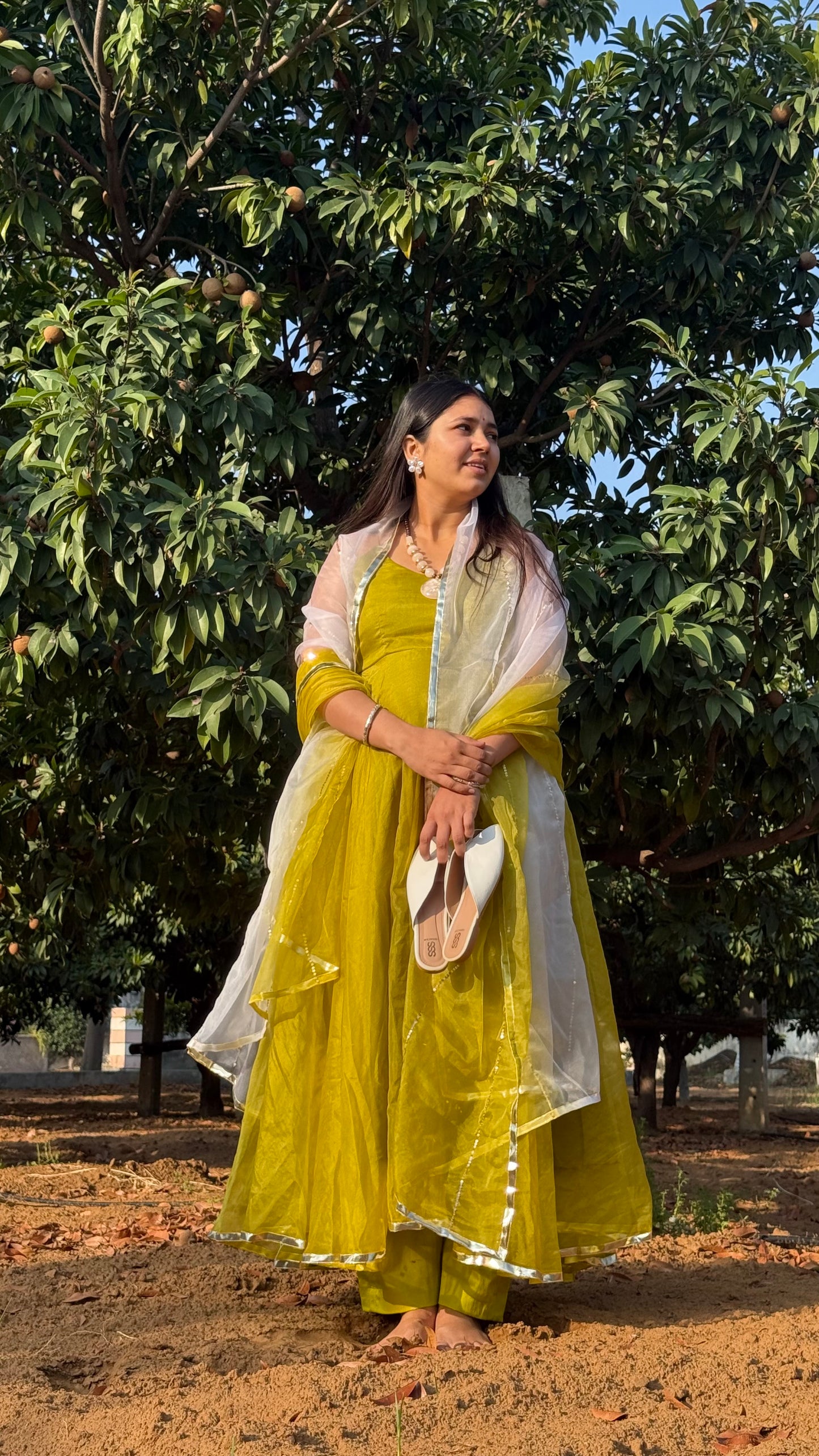Double Shade Organza Anarkali
