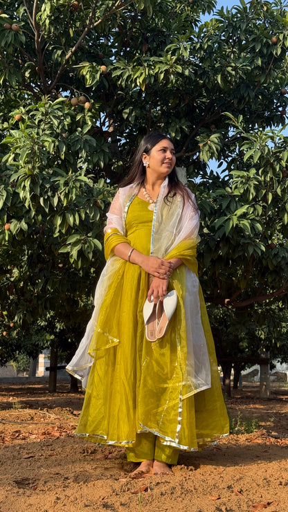 Double Shade Organza Anarkali
