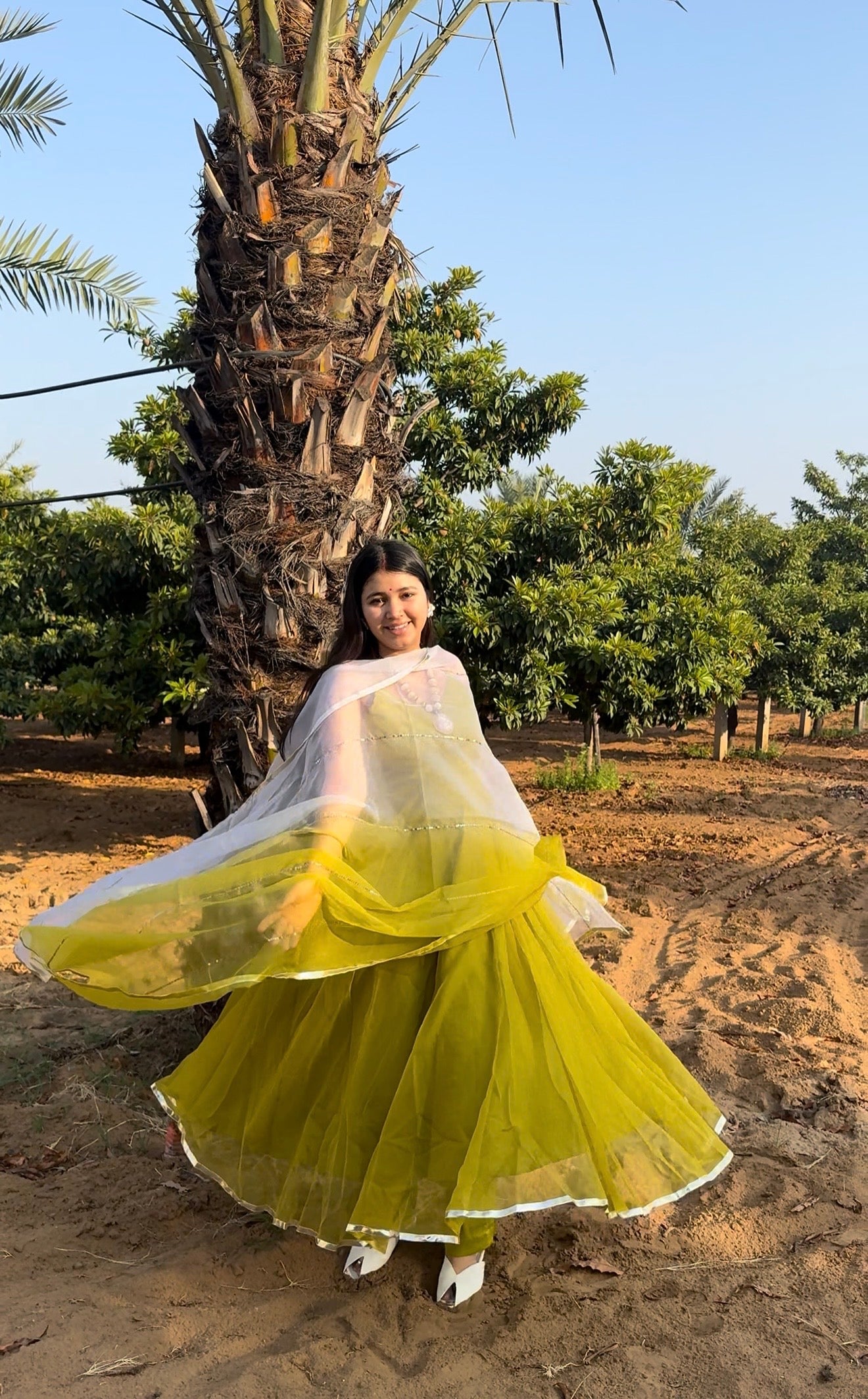 Double Shade Organza Anarkali
